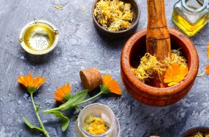 Calendula: benefici, propriet&agrave;, usi erboristici, ricette cosmetiche e controindicazioni