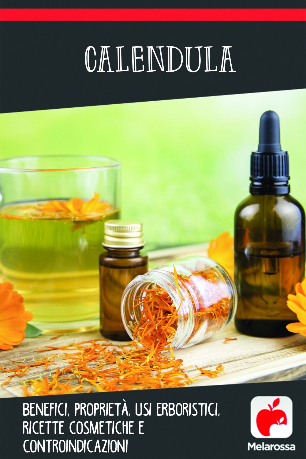Calendula: benefici, proprietà, usi erboristici, ricette cosmetiche e controindicazioni 13 calendula: cos'è, benefici, ricette cosmetiche, controindicazioni