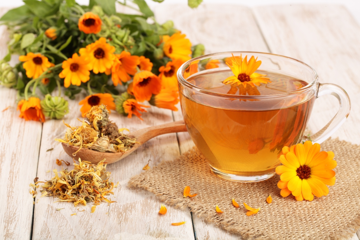 Calendula: benefici, proprietà, usi erboristici, ricette cosmetiche e controindicazioni 7 calendula: tisana