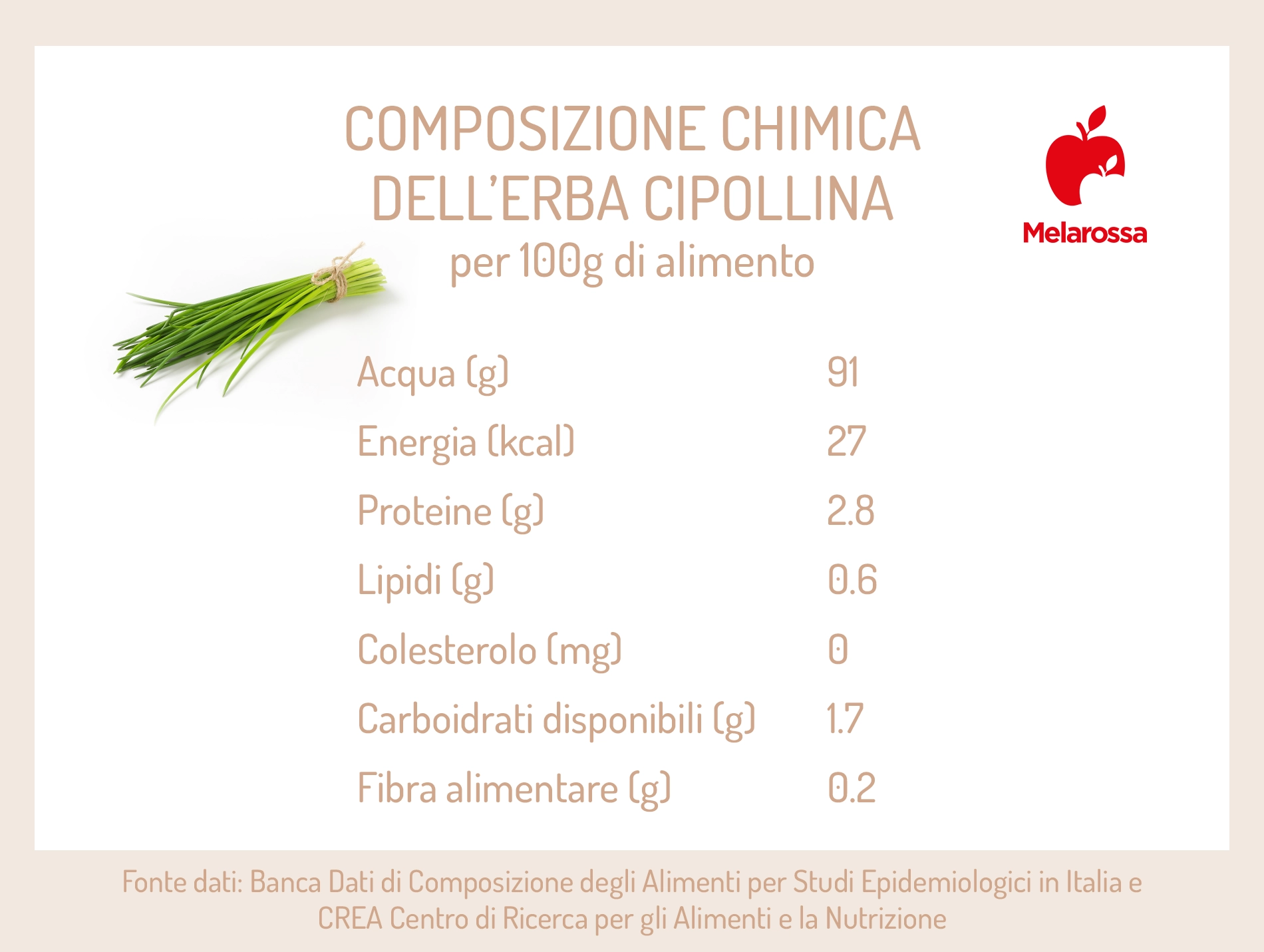 Erba cipollina: benefici, usi in cucina e come si coltiva 1 erba cipollina: composizione