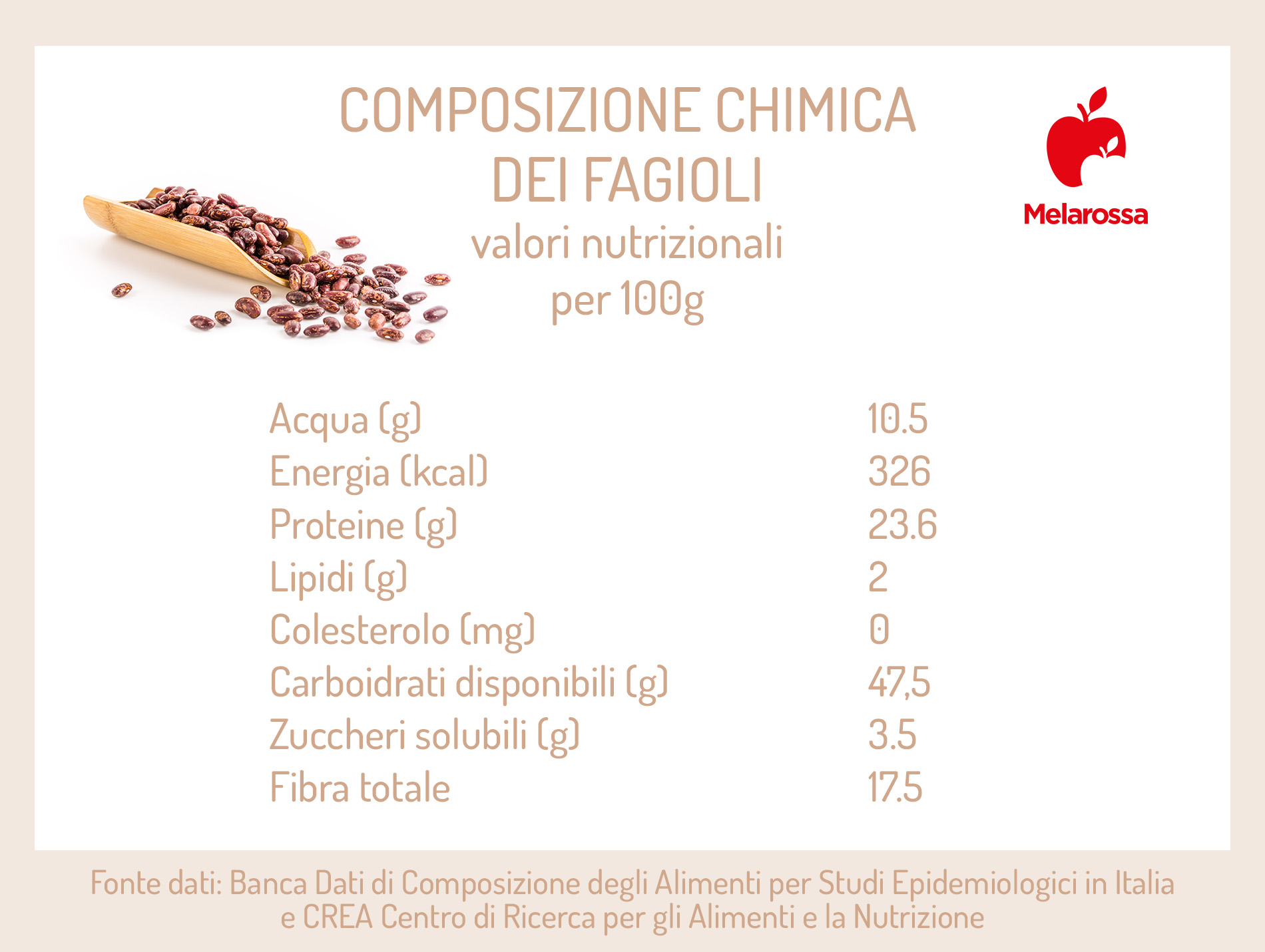 Fagioli: cosa sono, varietà, proprietà, benefici e ricette 7 fagioli, composizione chimica