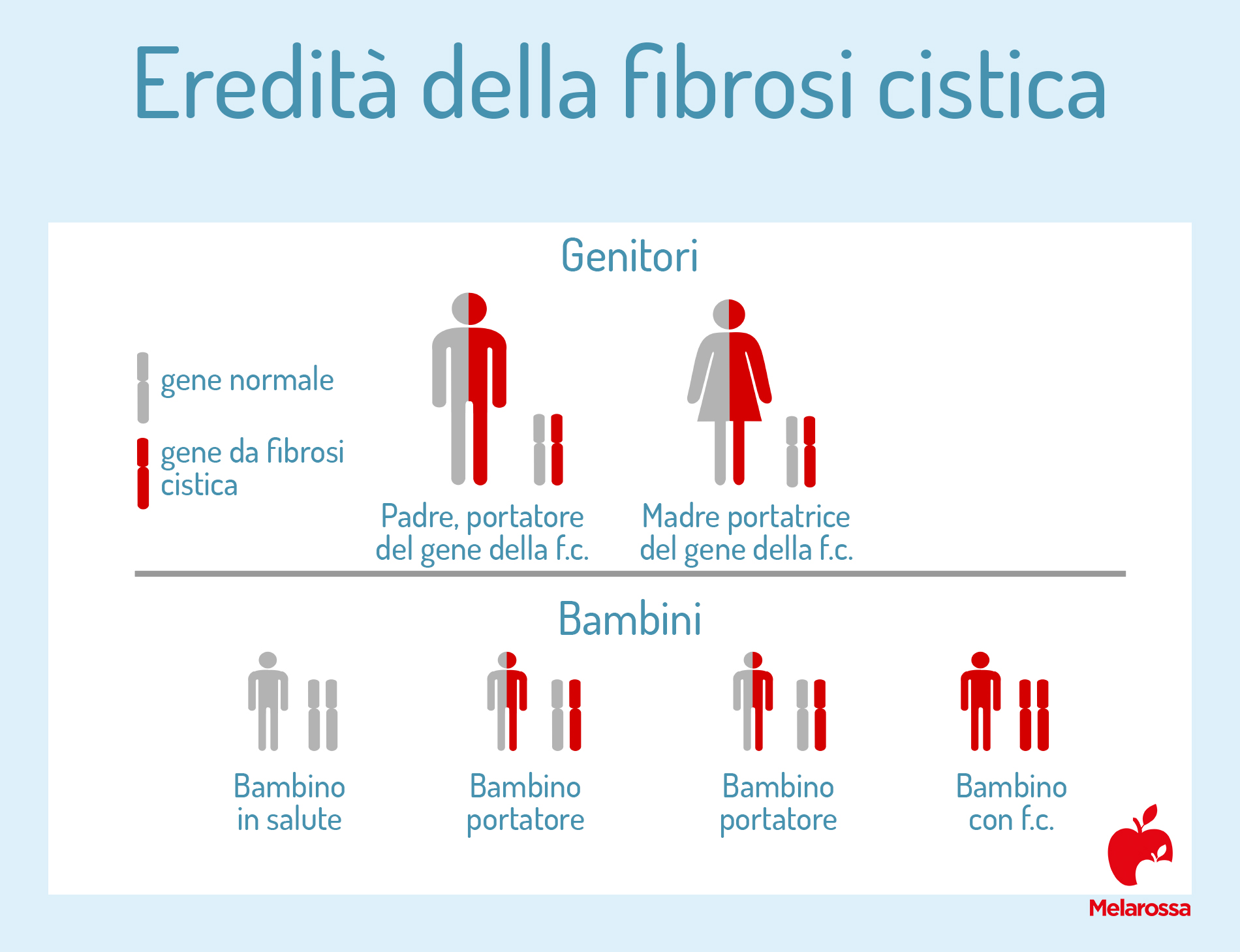 Fibrosi cistica: cos’è, cause, sintomi, come si manifesta, diagnosi, cure e trattamenti 1 fibrosi cistita: epidemiologia