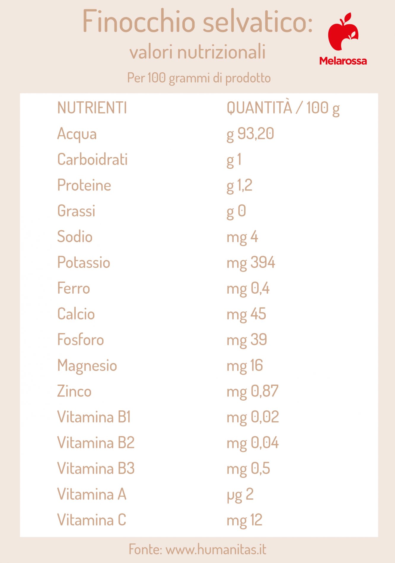 Finocchietto selvatico: proprietà, benefici e usi in cucina 2 finocchietto selvatico: valori nutrizionali