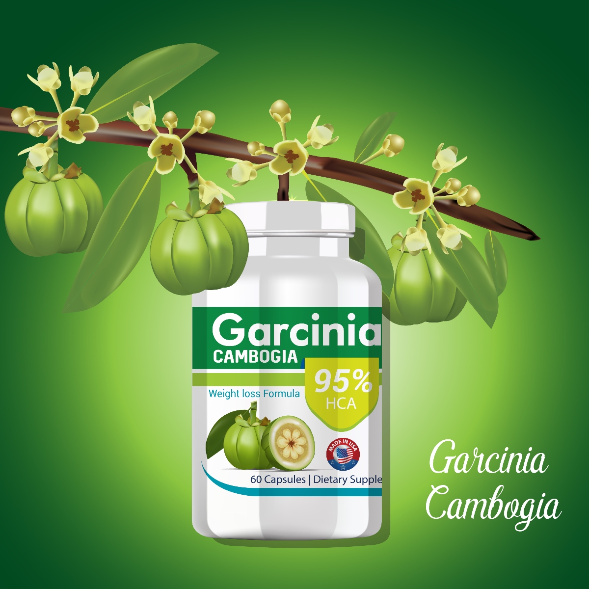 Garcinia cambogia: cos’è, effetti collaterali, benefici, dosaggio, fa veramente dimagrire? 2 garcinia cambogia: integratore dimagrante