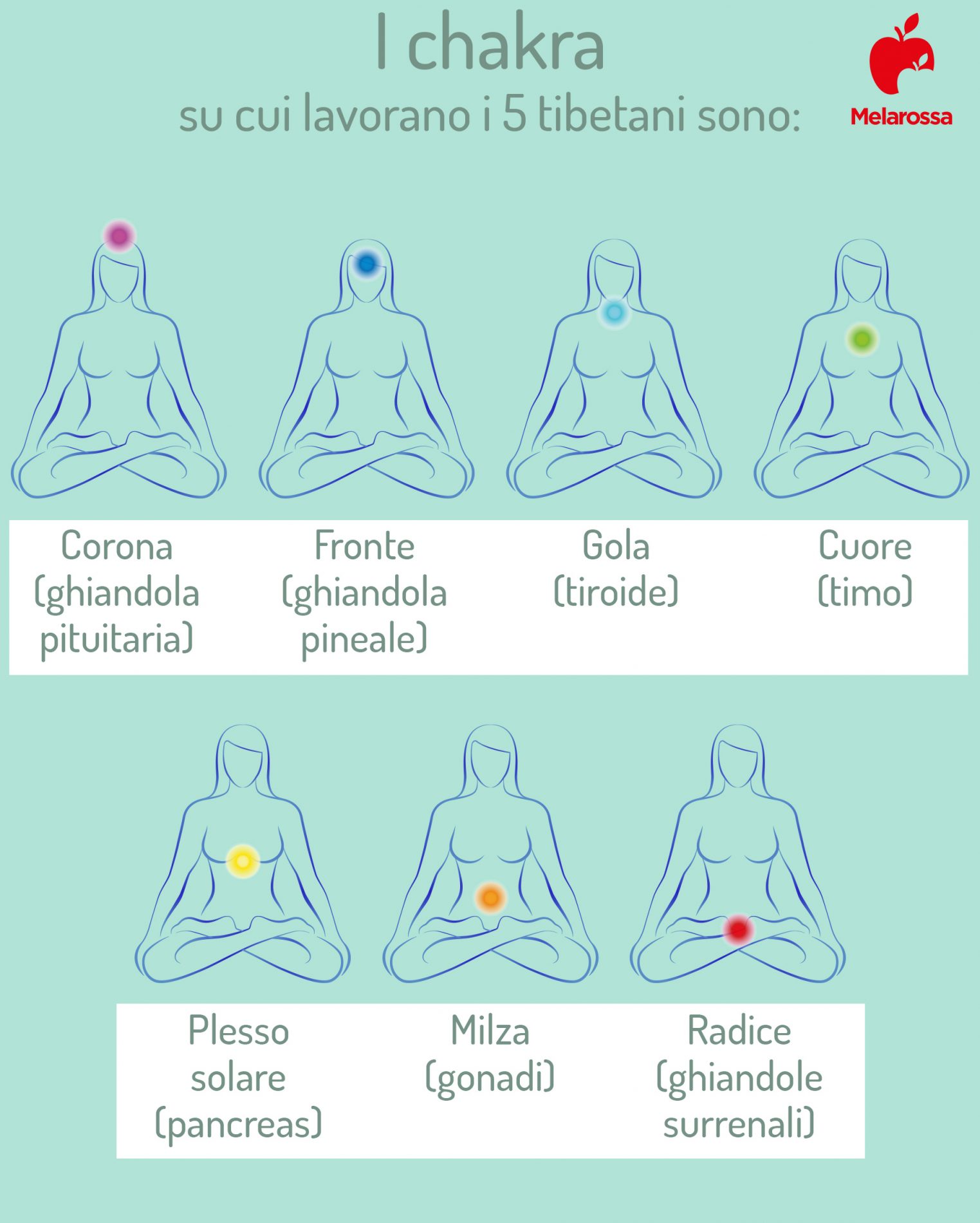 I 5 tibetani: cosa sono, benefici e come si eseguono gli esercizi dell'eterna giovinezza 2 i 5 tibetani: lavoro sui chakra