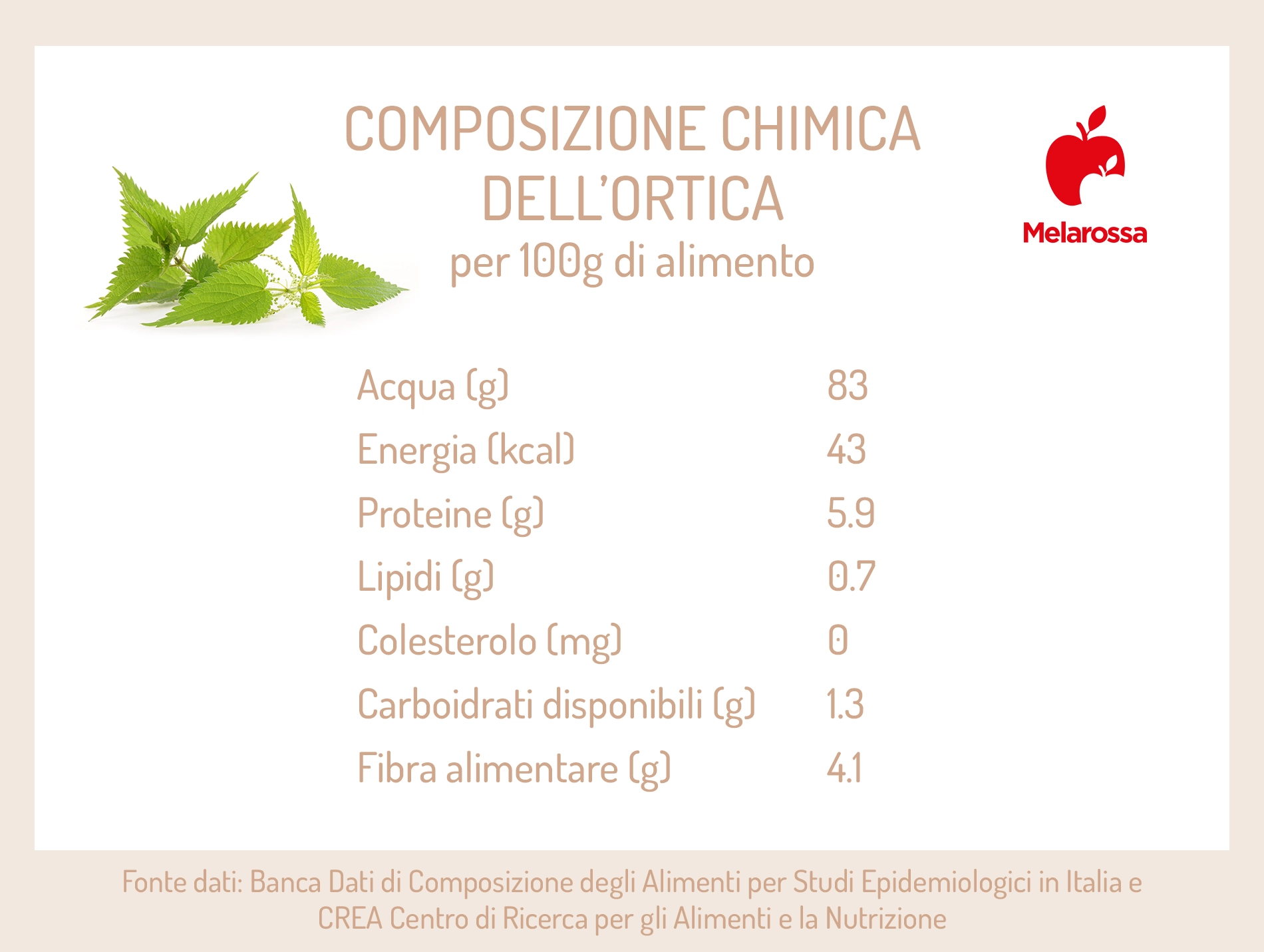 Ortica: proprietà, usi in cucina e per la bellezza 2 grafica sui valori nutrizionali dell'ortica