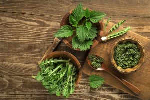 Ortica: propriet&agrave;, usi in cucina e per la bellezza