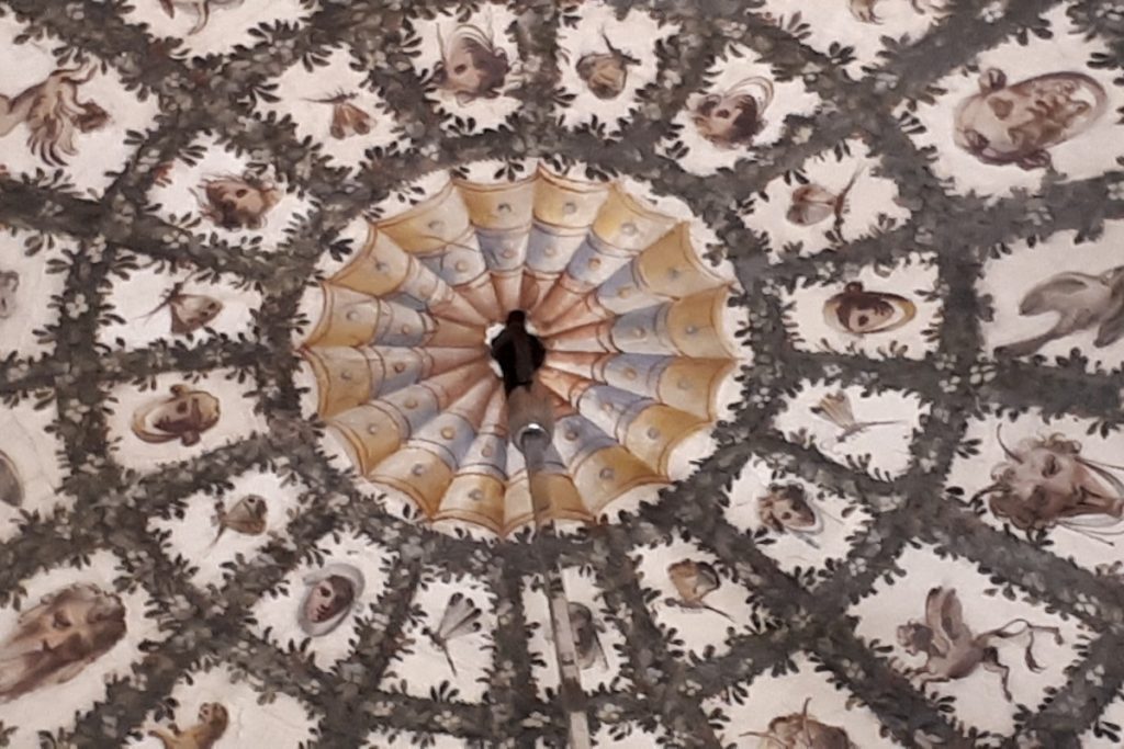Alla scoperta di Firenze: Palazzo Vecchio e le bellezze del Rinascimento 4 palazzo vecchio particolare di soffitto