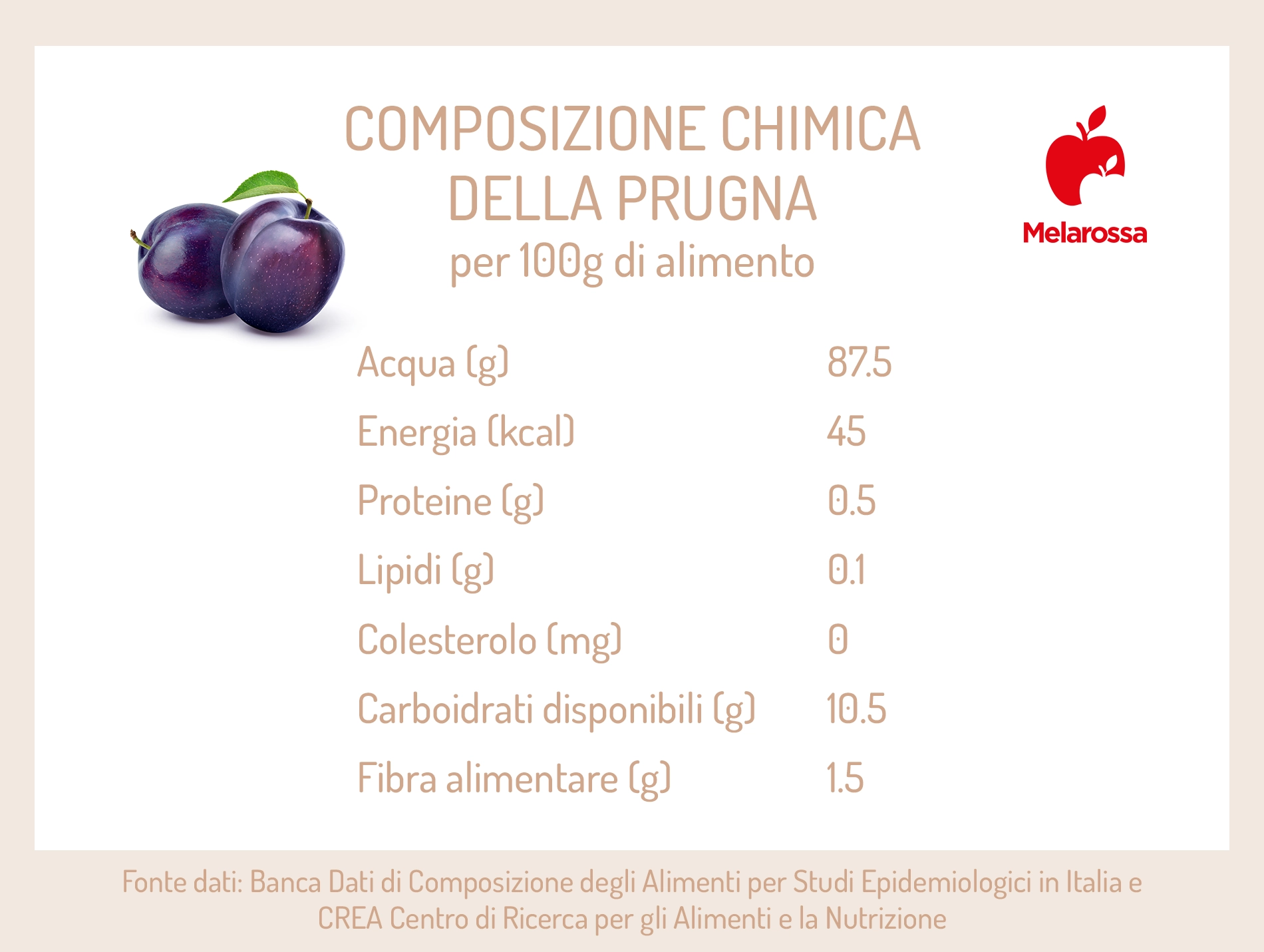 Prugne o susine: calorie, proprietà, benefici e usi in cucina 1 grafica si valori nutrizionali delle prugne