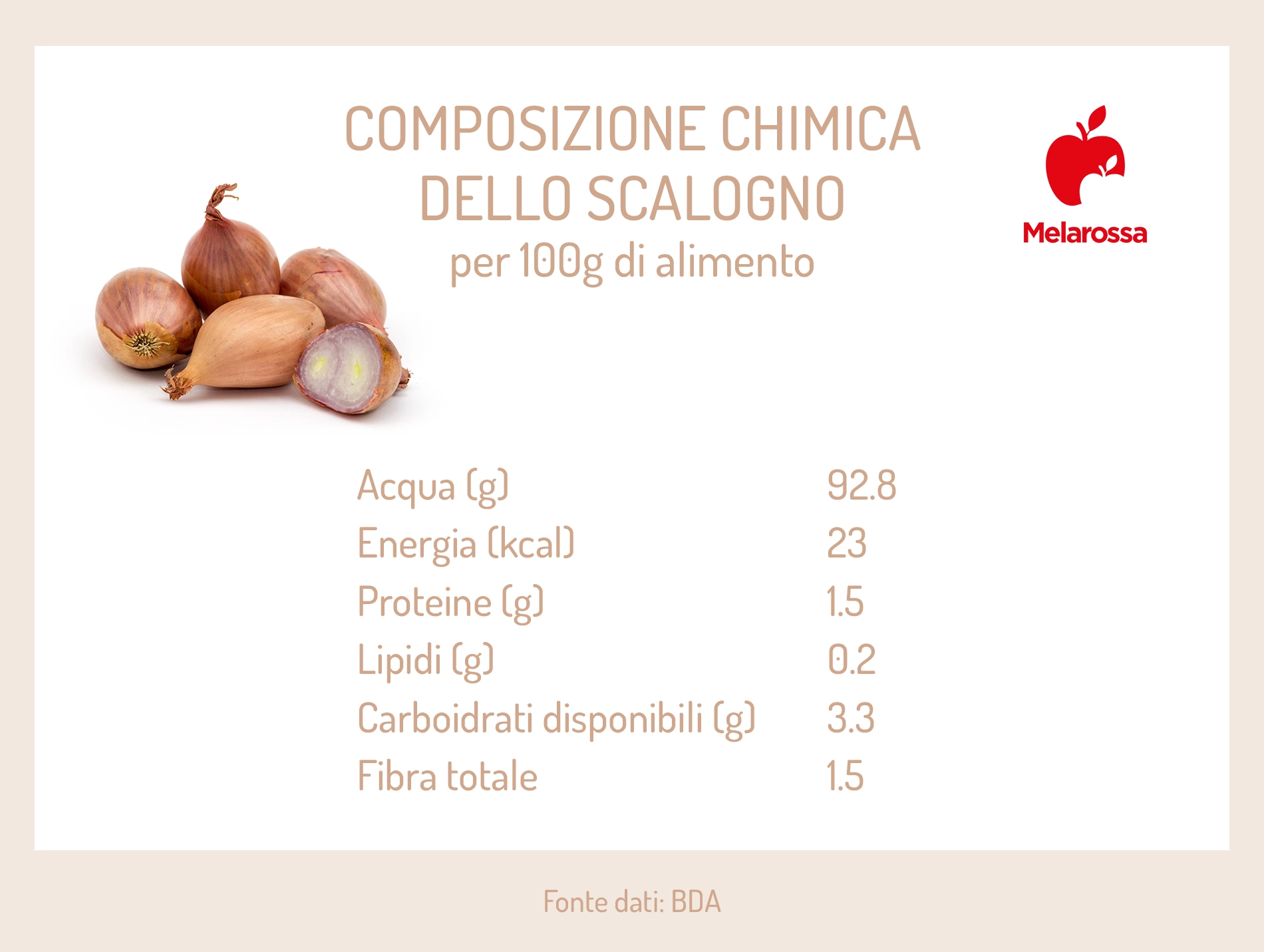 Scalogno: cos'è, proprietà, usi in cucina e non solo 1 grafica sui valori nutrizionali dello scalogno