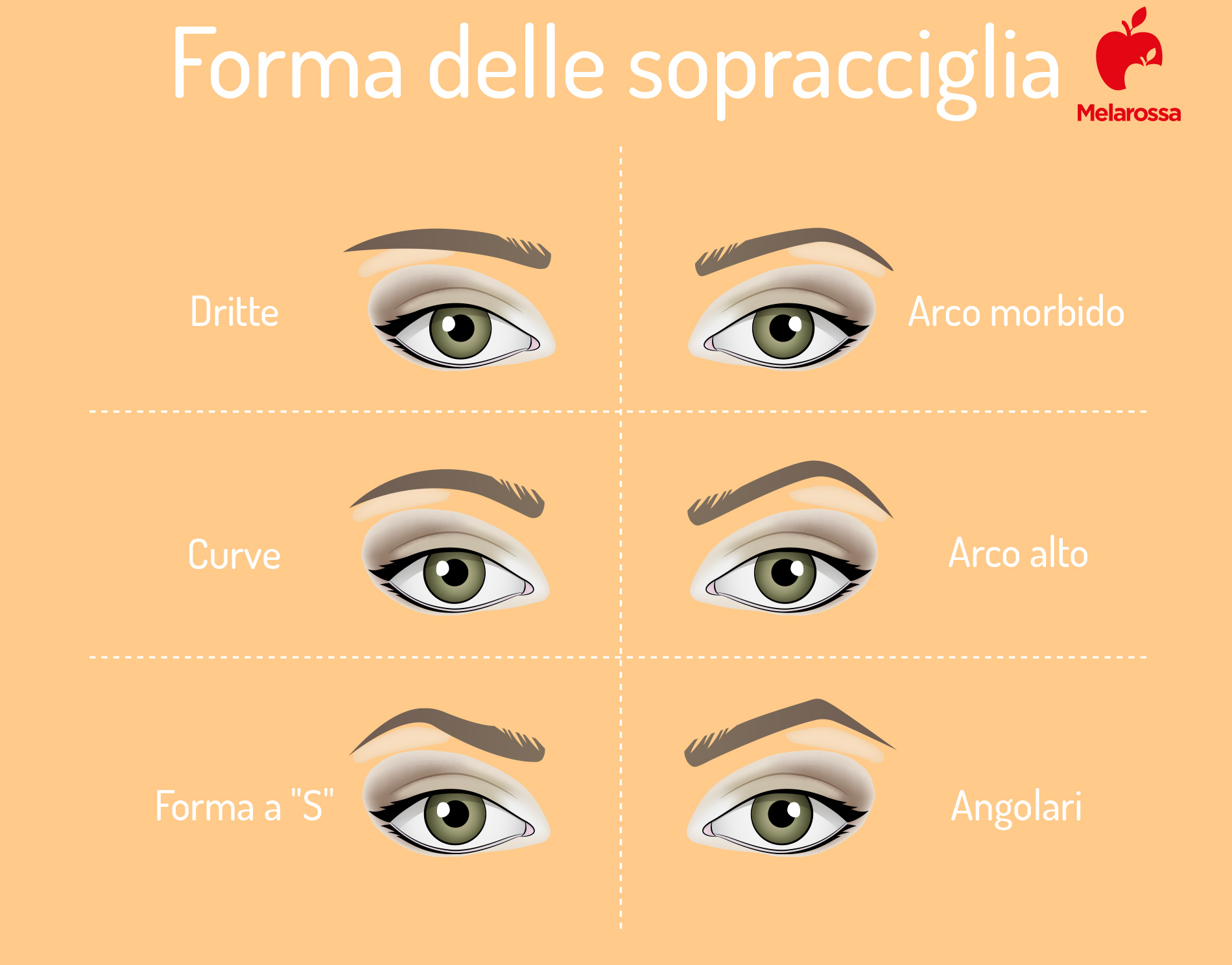Sopracciglia perfette: come sistemarle, cosa fare e non fare, tecniche di riempimento e di depilazione 4 Tipologie sopracciglia