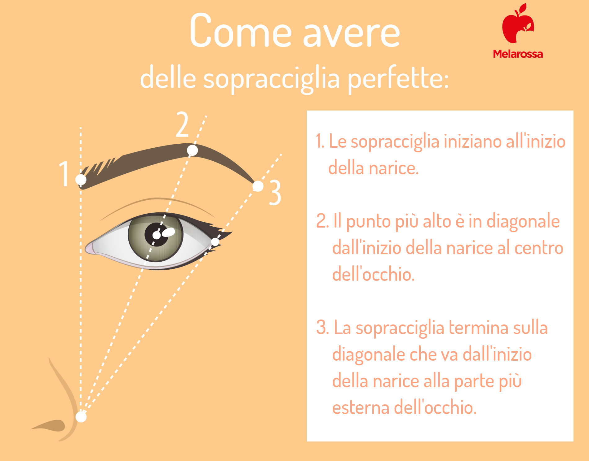 Sopracciglia perfette: come sistemarle, cosa fare e non fare, tecniche di riempimento e di depilazione 3 Sopracciglia perfette