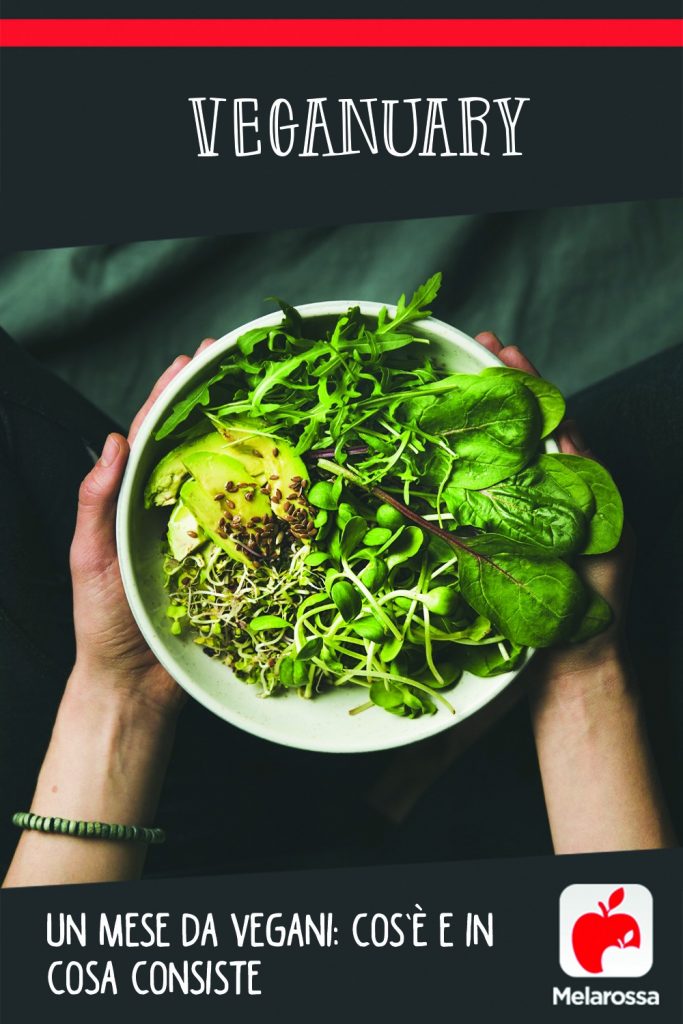 Veganuary, un mese da vegani: cos’è e in cosa consiste 1 veganuary 1