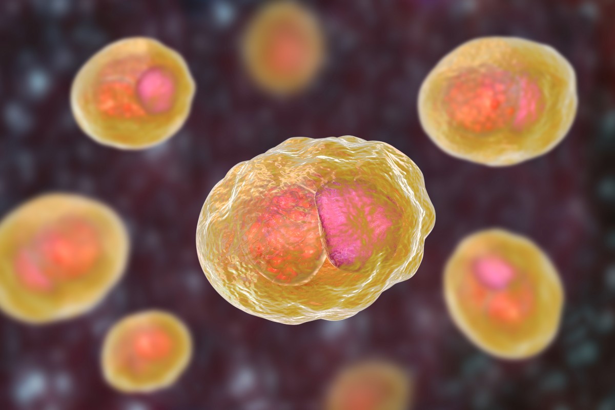 Clamidia: che cos’è, come si trasmette, sintomi cure e prevenzione 2 clamidia: batterio