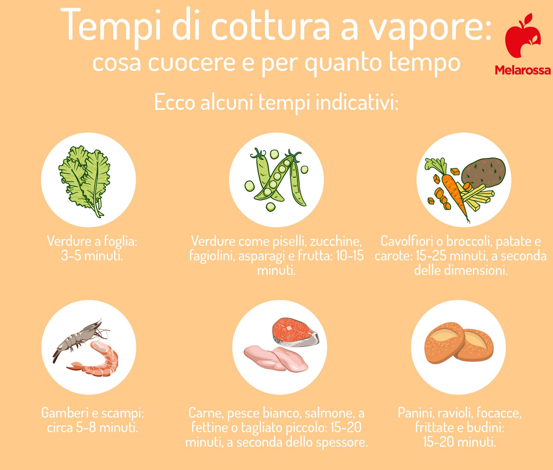 Cottura a vapore: tecnica e attrezzatura, benefici, tempi di cottura e ricette 2 tempi di cottura a vapore