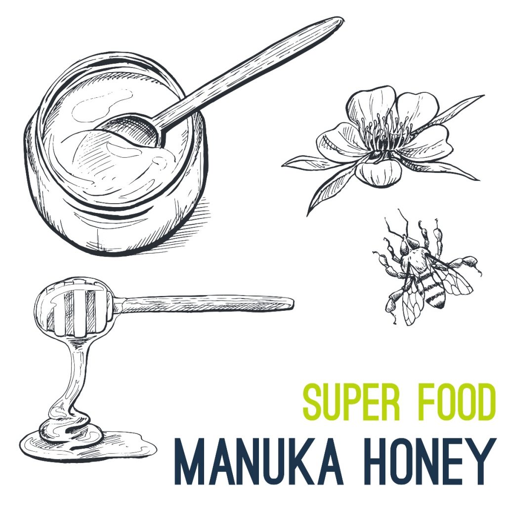Miele di Manuka: cos'è, perché è diverso, proprietà e benefici per la salute, come consumarlo 2 miele di manuka perche e diverso