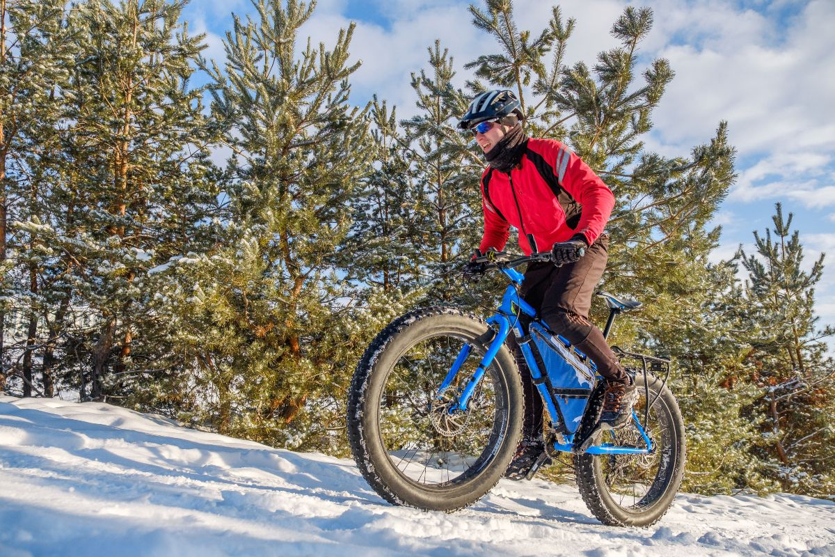 Fat bike: guida all'acquisto e miglior modelli 2025 2 Migliori fat bike: neve