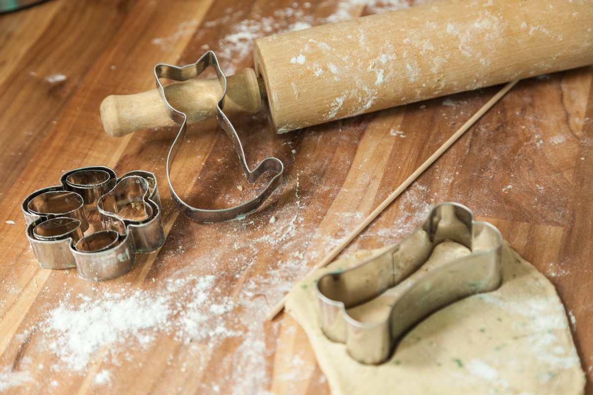 Cani e gatti: ecco le ricette casalinghe adatte a loro 1 ricette cani e gatti
