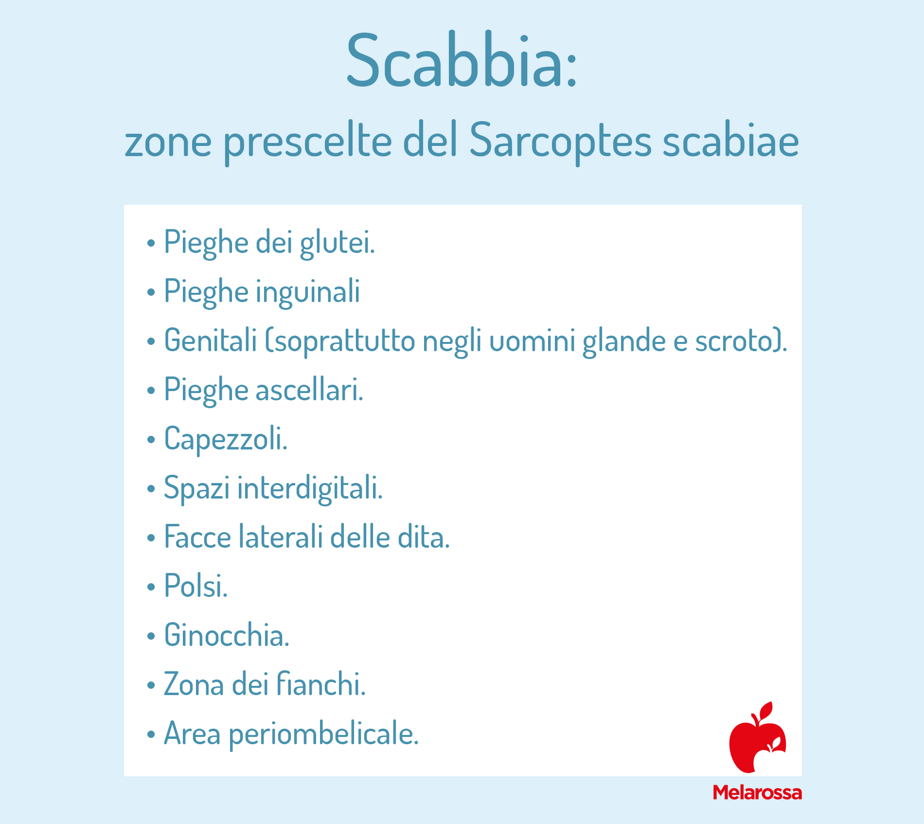 Scabbia: cos’è, tipi, come si trasmette, sintomi, diagnosi, cure e prevenzione 4 scabbia: dove si annida