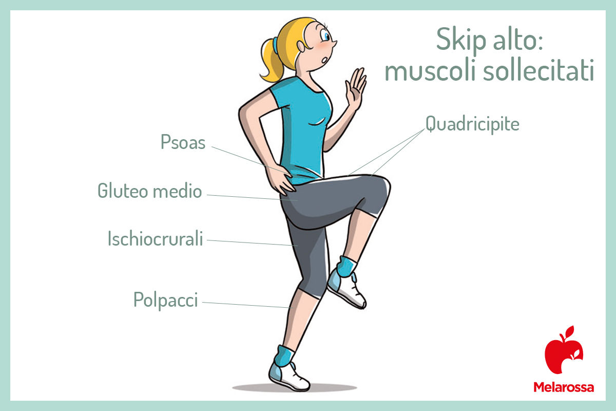 Skip o corsa a ginocchia alte: cos'è, come farlo, benefici, e esempi di allenamento per tonificare e dimagrire 3 skip alto: muscoli sollecitati