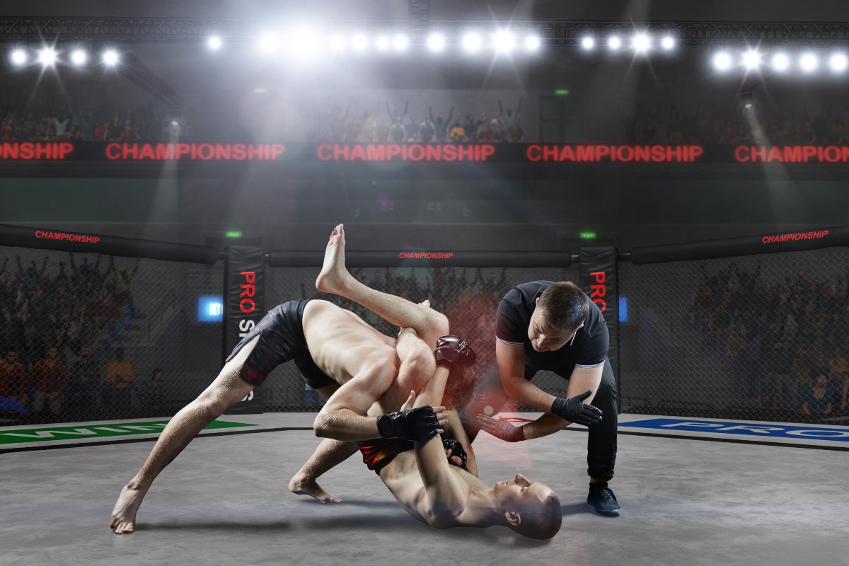 MMA (arti marziali miste): che cos'è, tecnica, guanti e come vestirsi, benefici e controindicazioni 5 MMA: regolamento
