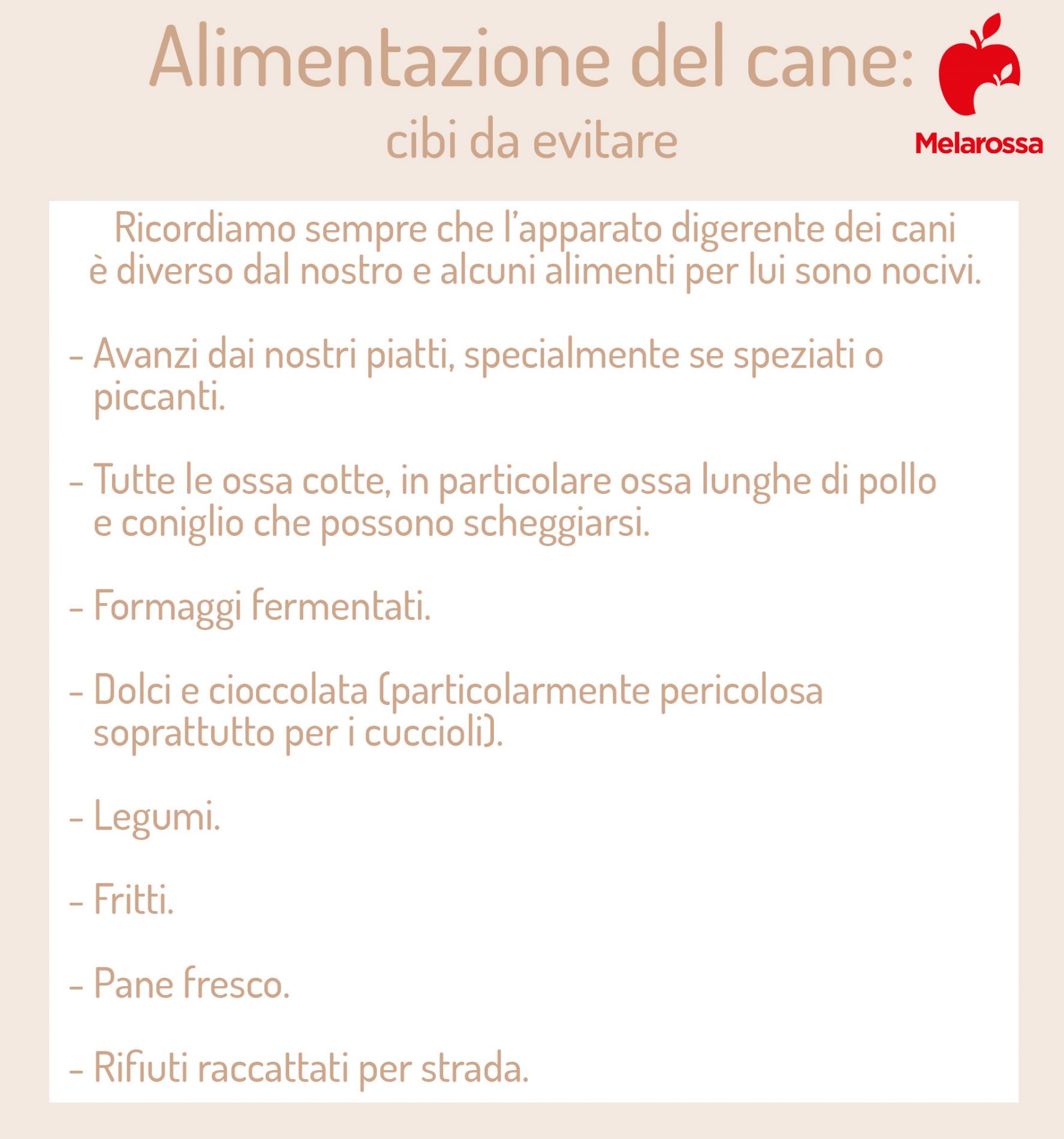 Alimentazione del cane: meglio crocchette o alimentazione casalinga? Guida per una dieta sana e equilibrata a tutte le età 10 alimentazione del cane: cibi da evitare