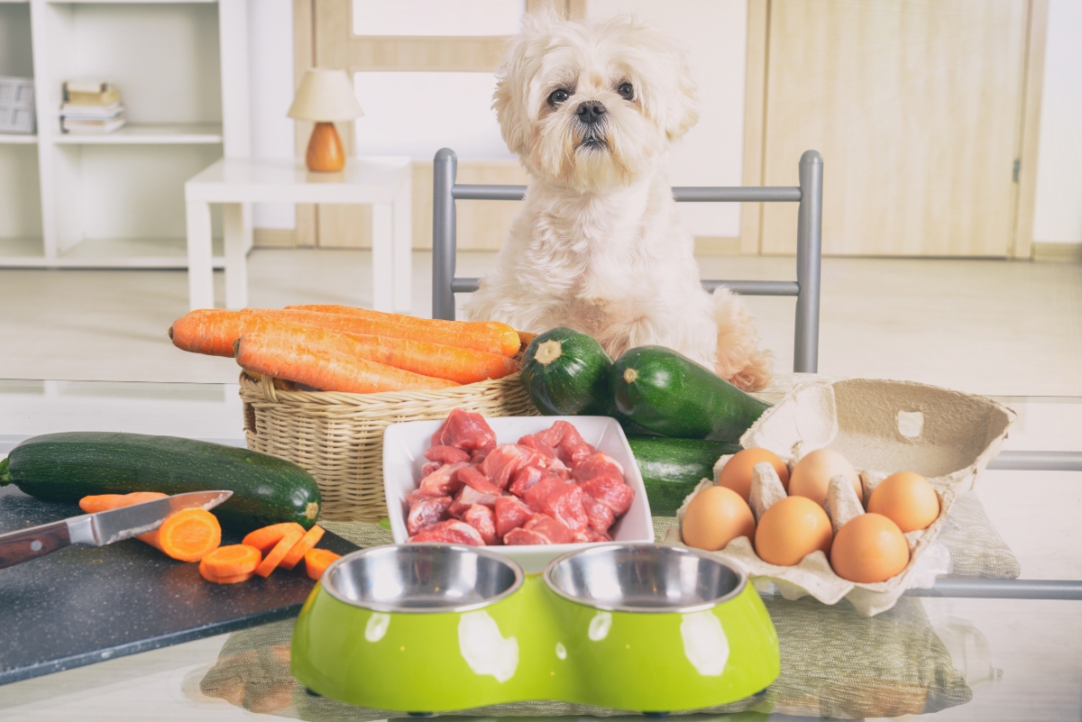 Alimentazione del cane: meglio crocchette o alimentazione casalinga? Guida per una dieta sana e equilibrata a tutte le età 14 alimentazione del cane: dieta BARF