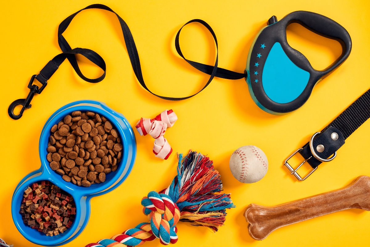Alimentazione del cane: meglio crocchette o alimentazione casalinga? Guida per una dieta sana e equilibrata a tutte le età 5 alimentazione del cane: meglio secco o umido?