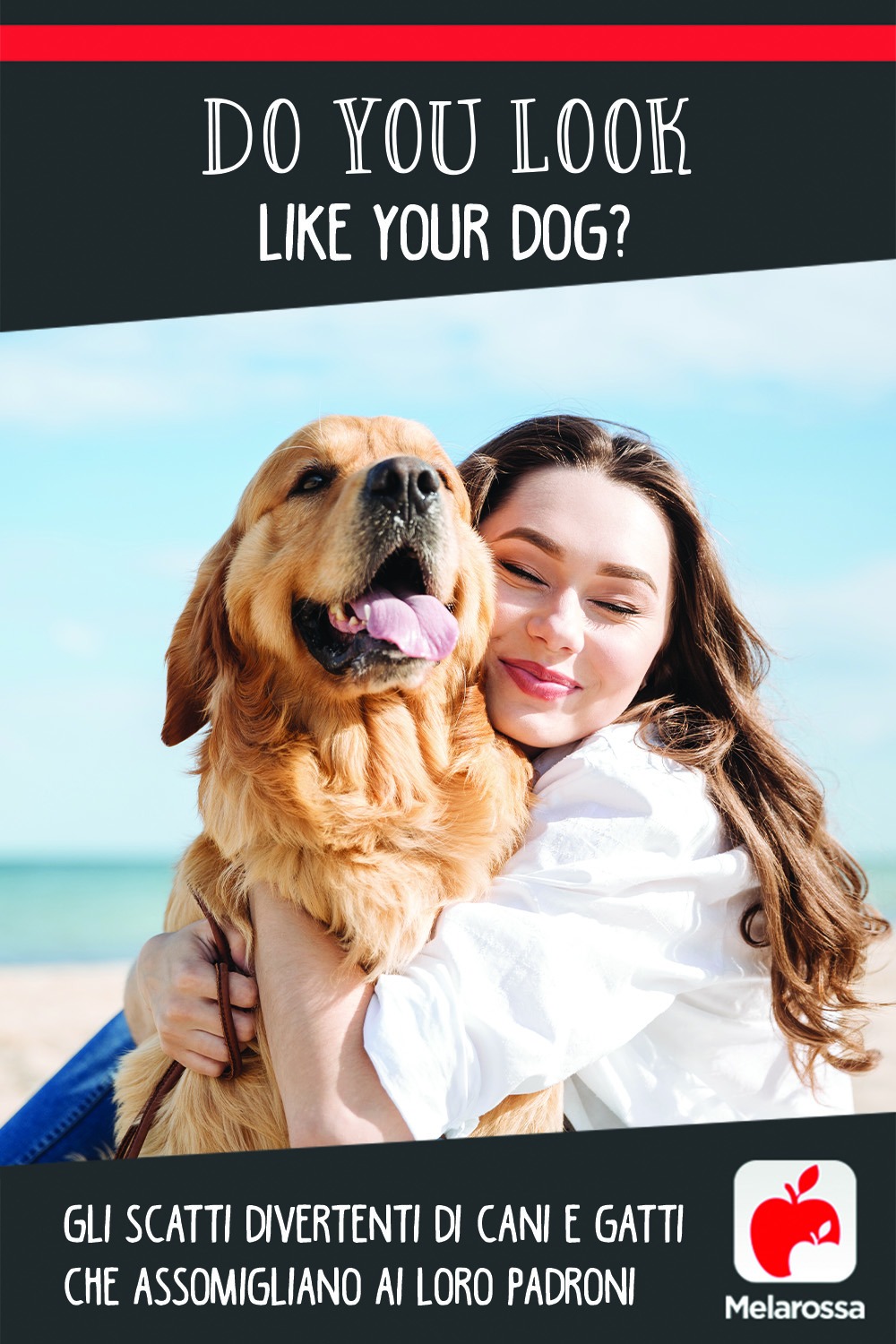 Do You Look Like Your Dog? Gli scatti divertenti di cani e gatti che assomigliano ai loro padroni 3 cani simili ai padroni