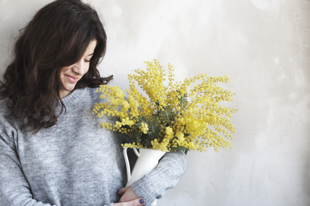 Mimosa festa della donna 8 marzo