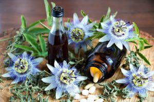 Passiflora: propriet&agrave;, benefici, usi in fitoterapia e controindicazioni