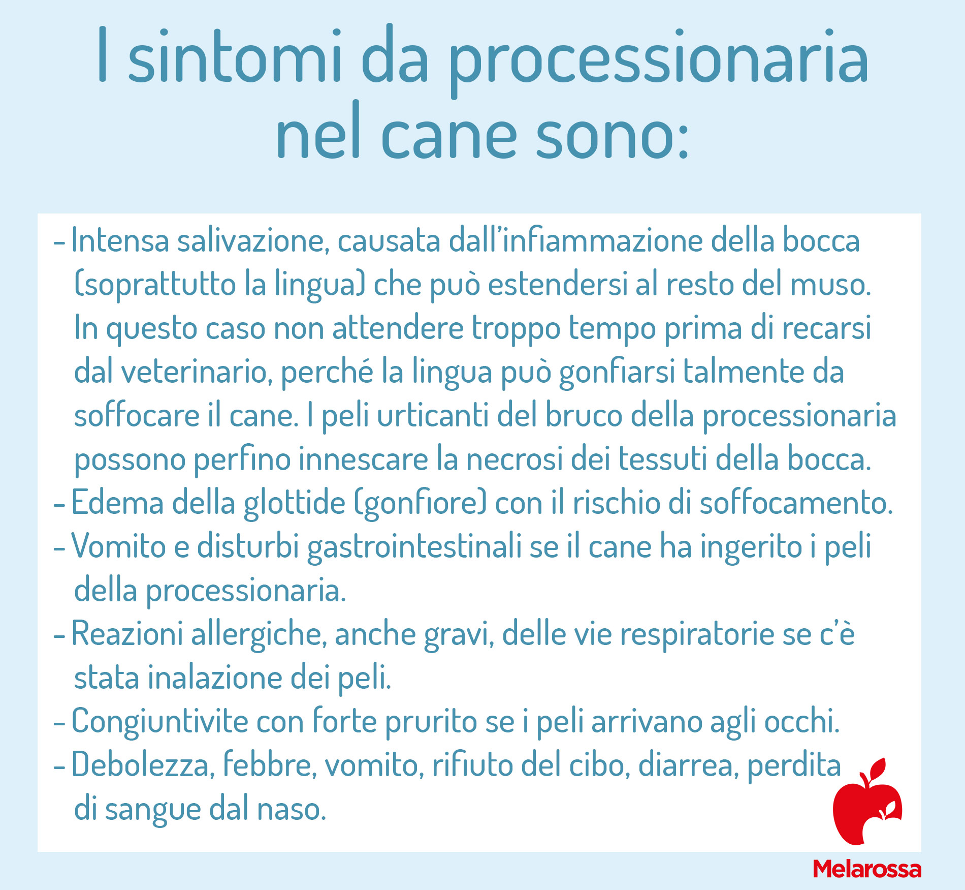 Processionaria: cos’è, rischi per l'uomo e il cane, cosa fare e come eliminarla dalle piante 5 processionaria: sintomi del cane