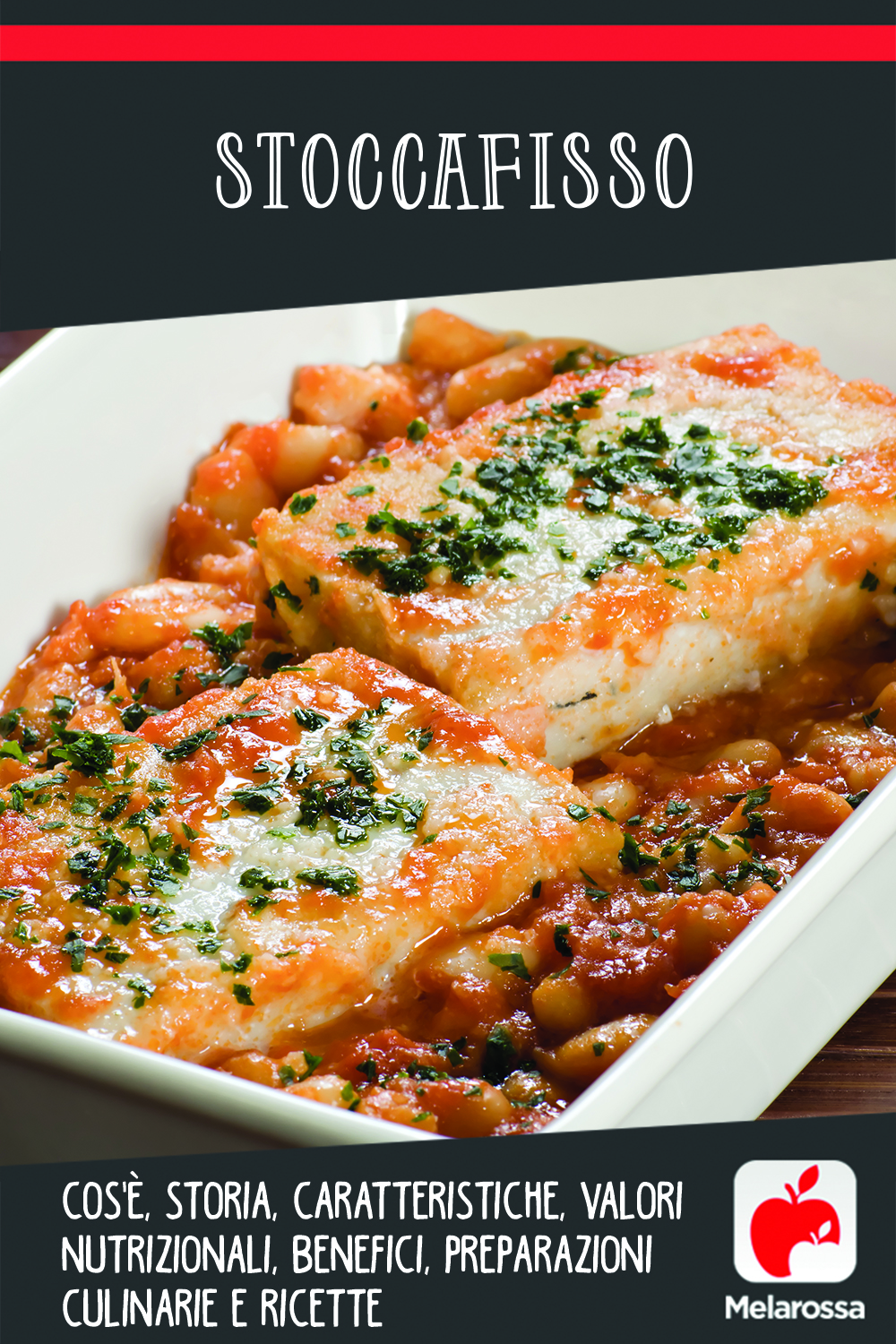 Stoccafisso: cos'è, storia, caratteristiche, valori nutrizionali, benefici, preparazioni culinarie e ricette 15 stoccafisso