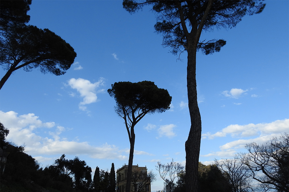 Alla scoperta di Roma: il parco di Villa Mazzanti 7 villa mazzanti parco