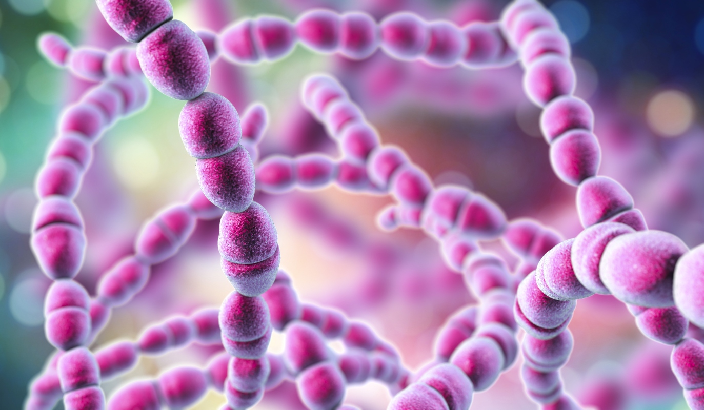 TAS (titolo antistreptolisinico): cos’è, perché fare questo esame, cause di valori bassi e alti, cosa fare 1 TAS: infezioni da Streptococco