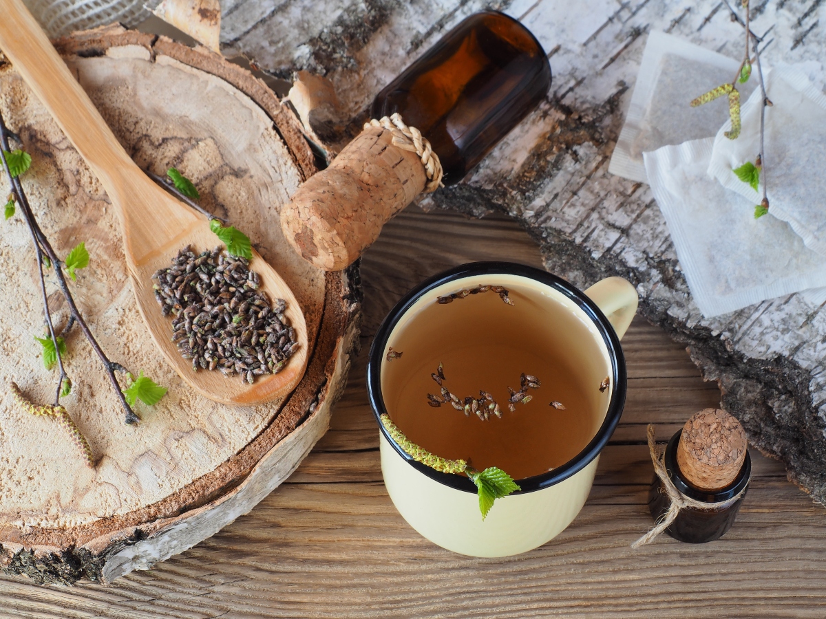 Rimedi naturali per il raffreddore: piante, tisane e rimedi della nonna per prevenire e curare 6 Rimedi naturali raffreddore: betulla