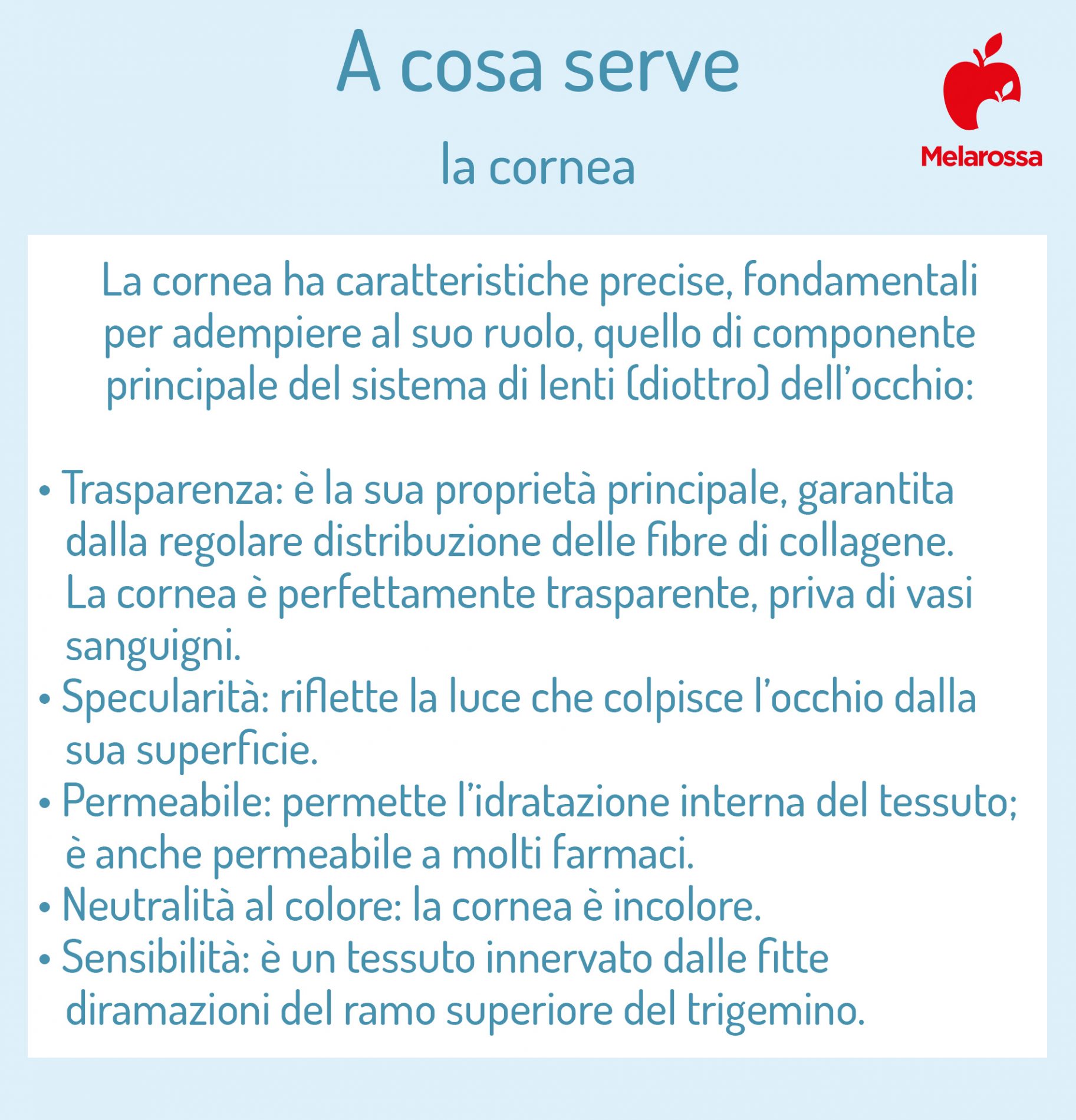 Cheratocono, malattia degenerativa della cornea: cos’è, cause, sintomi e cure 3 cheratocono e cornea