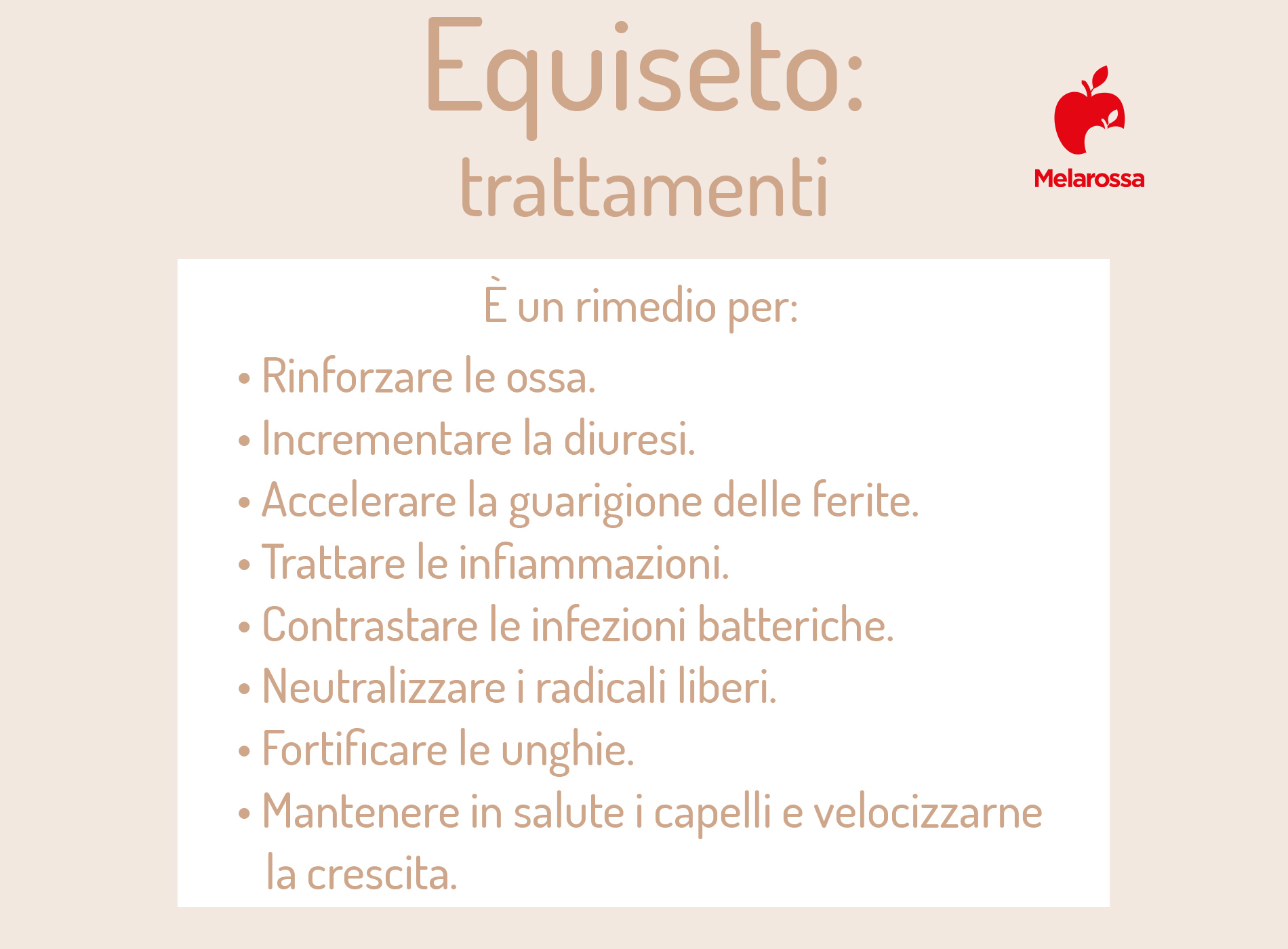 Equiseto: cos'è, a cosa serve, proprietà e benefici 3 Trattamenti e benefici dell'equiseto