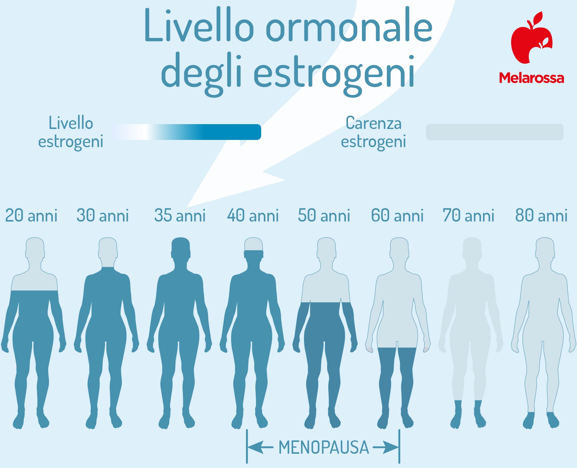 Estrogeni: cosa sono e a cosa servono 1 una grafica su estrogeni e livello ormonale