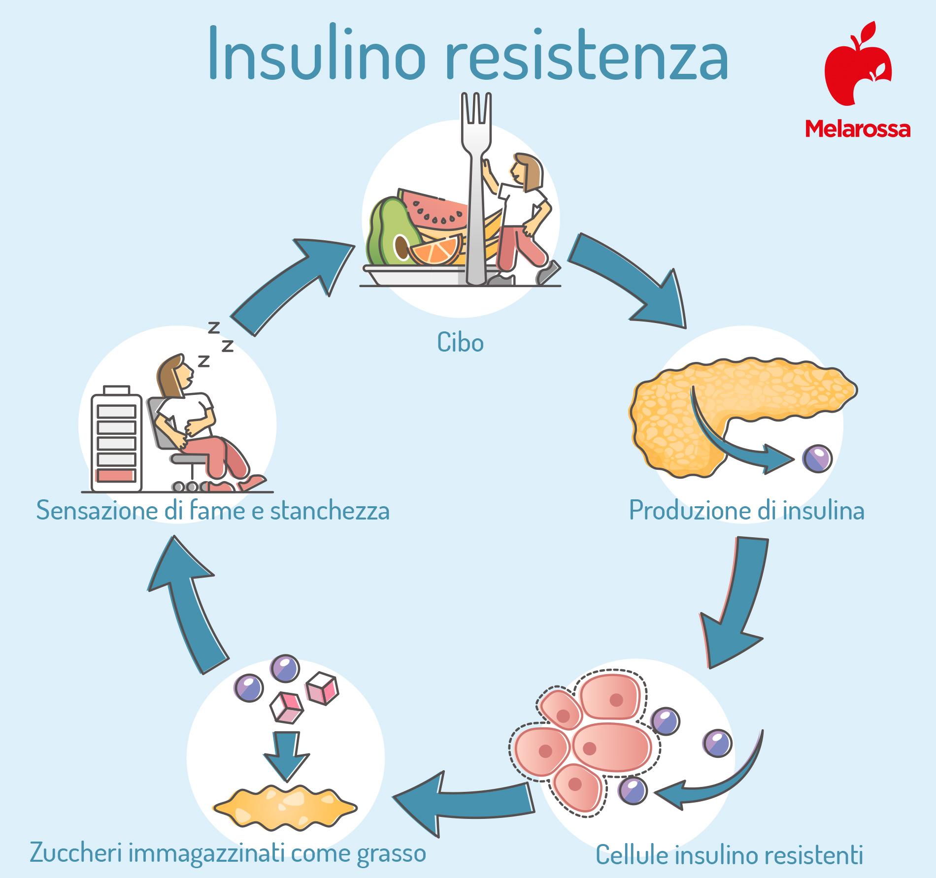 Insulino resistenza: cos'è, cause sintomi, cure e prevenzione 1 insulino resistenza: cos'è e sintomi