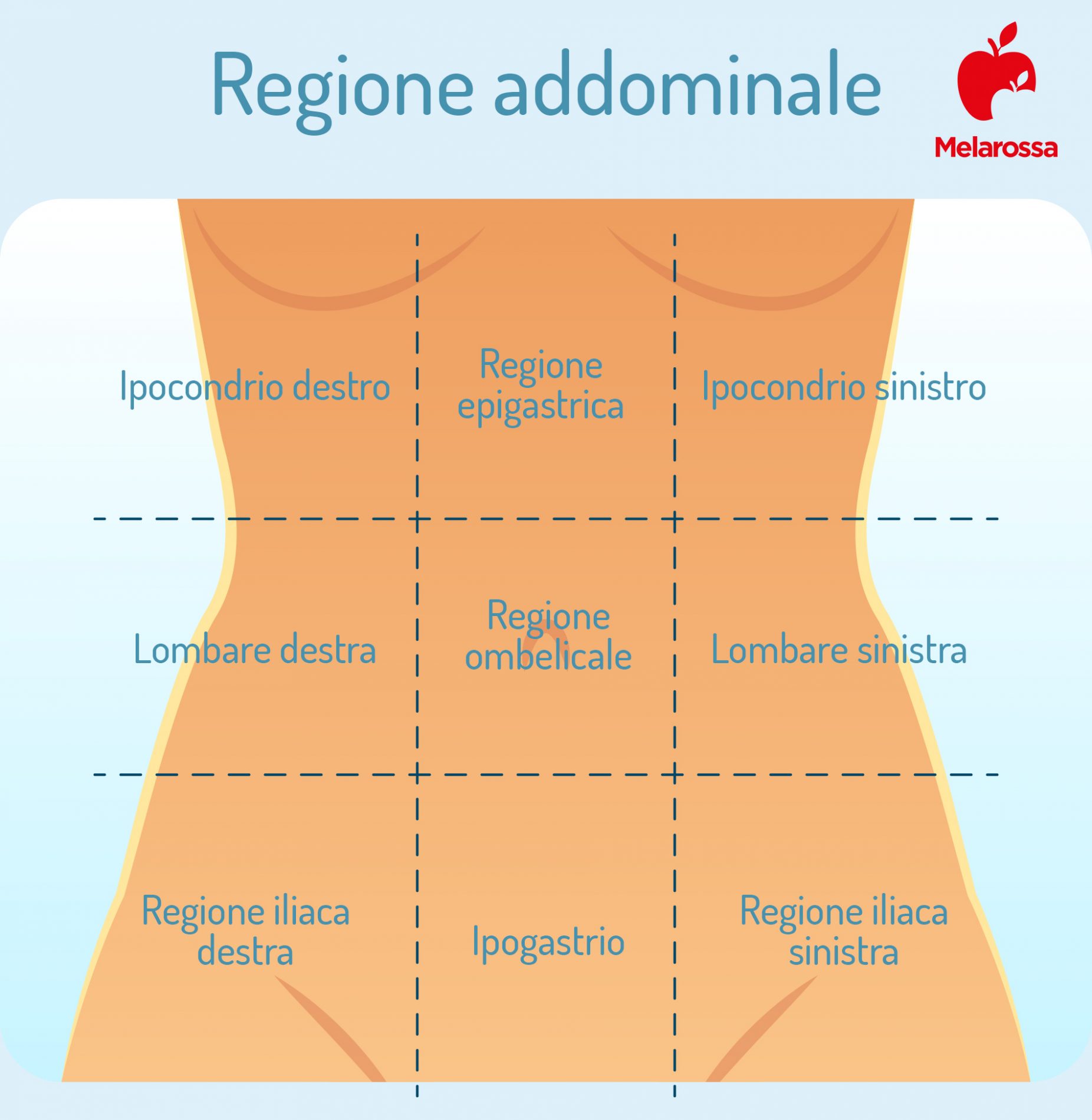 Ipocondria: cos’è, quali sono le cause, sintomi, cure e trattamenti 1 ipocondria e ipocondrio