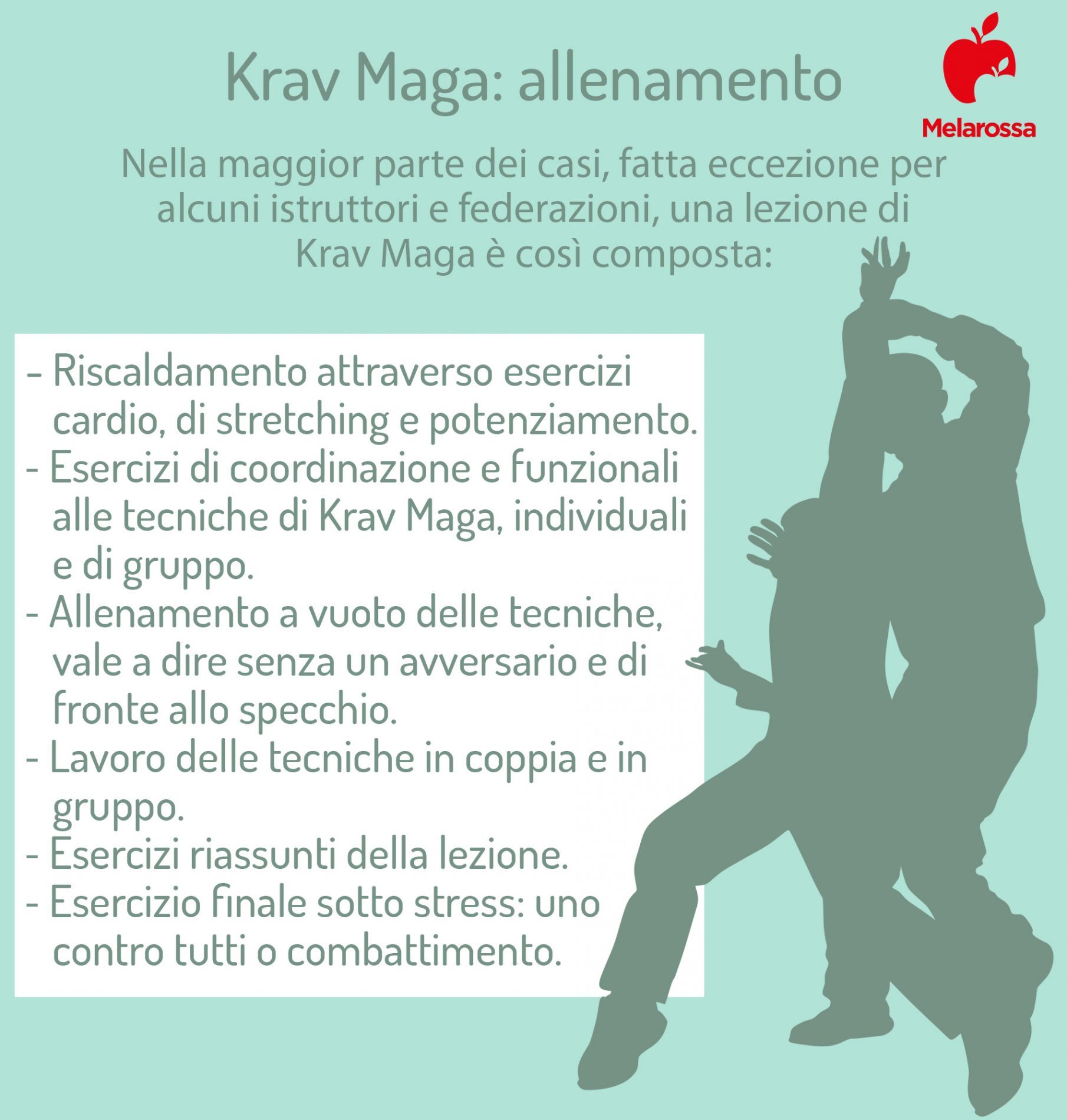Krav Maga: cos’è, storia, tipologie, allenamento, tecniche e benefici 2 krav maga allenamenti