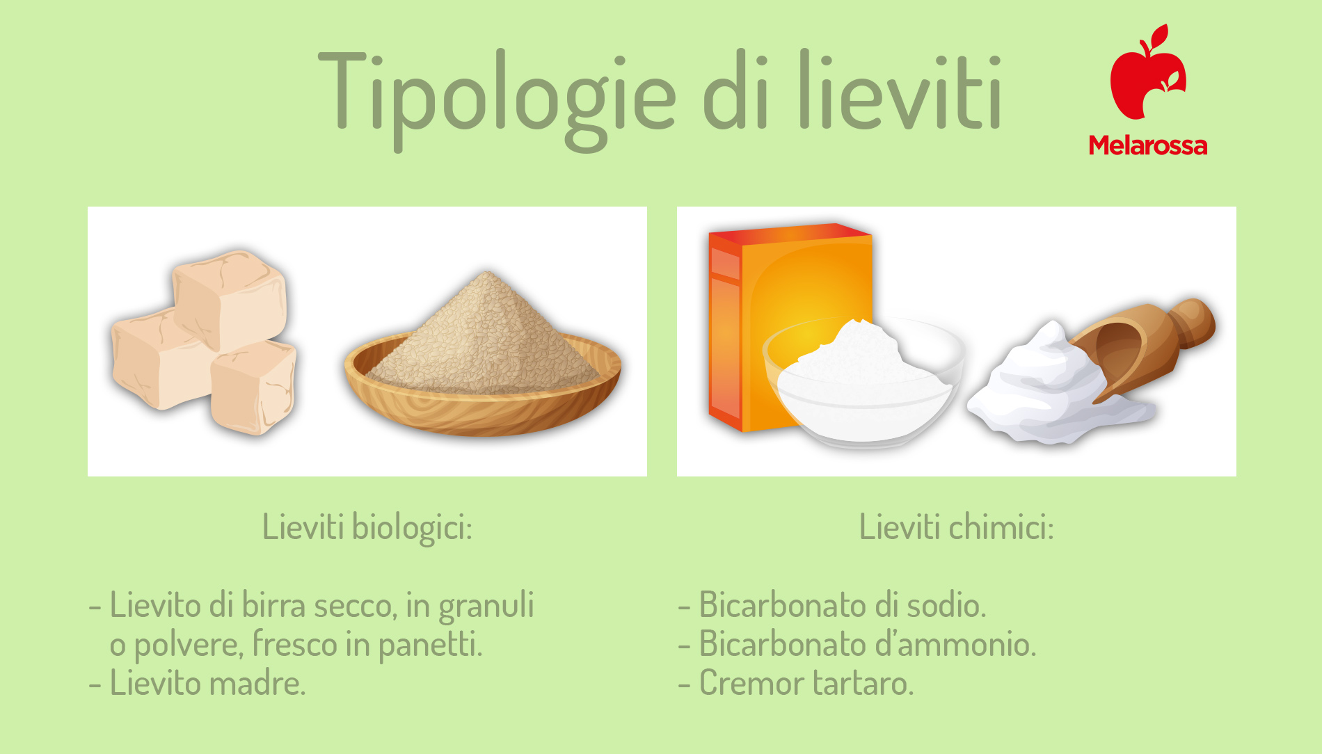 Lieviti: cosa sono, a cosa servono, esempio di dieta senza lievito 1 grafica sulle tipologie di lieviti