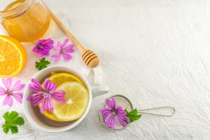 Malva: propriet&agrave;, benefici, pianta e controindicazioni