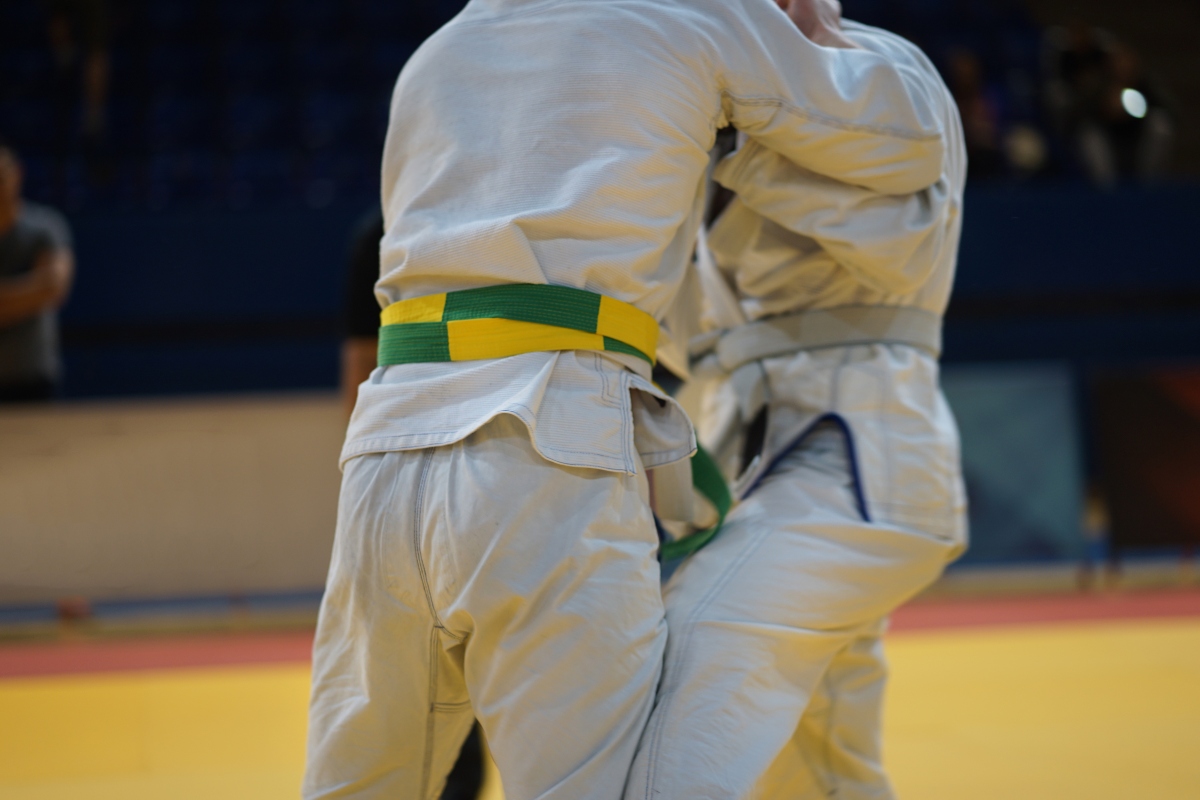 Ju Jitsu: cos’è, filosofia, tecnica, allenamento, benefici e controindicazioni 11 Ji Jitsu in Italia