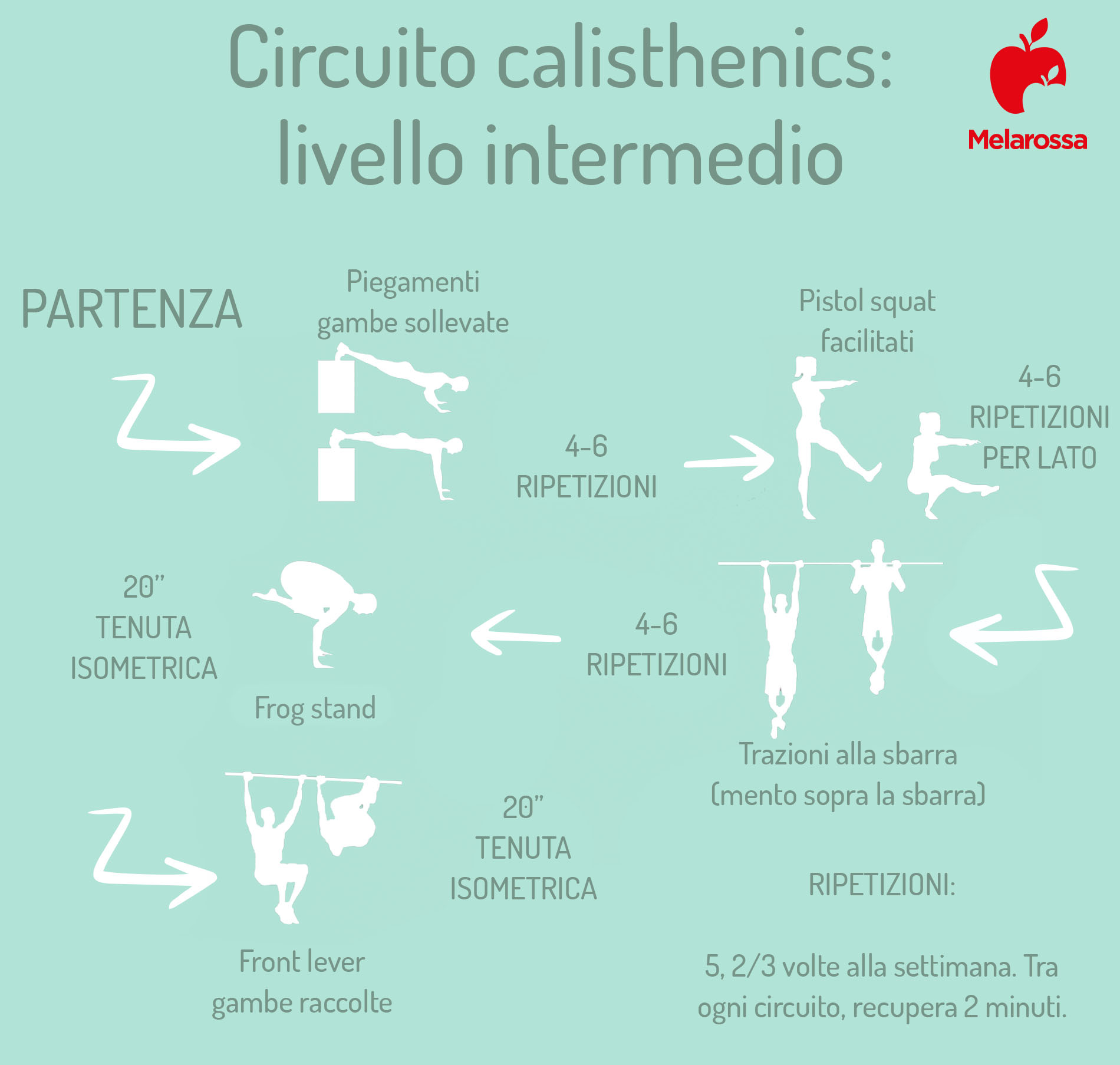 Calisthenics: che cos'è, benefici, esercizi e esempi di allenamento per principianti, intermedi e avanzati 2 grafica con i migliori esercizi di calisthenics per livello intermedio e un esempio di scheda di allenamento
