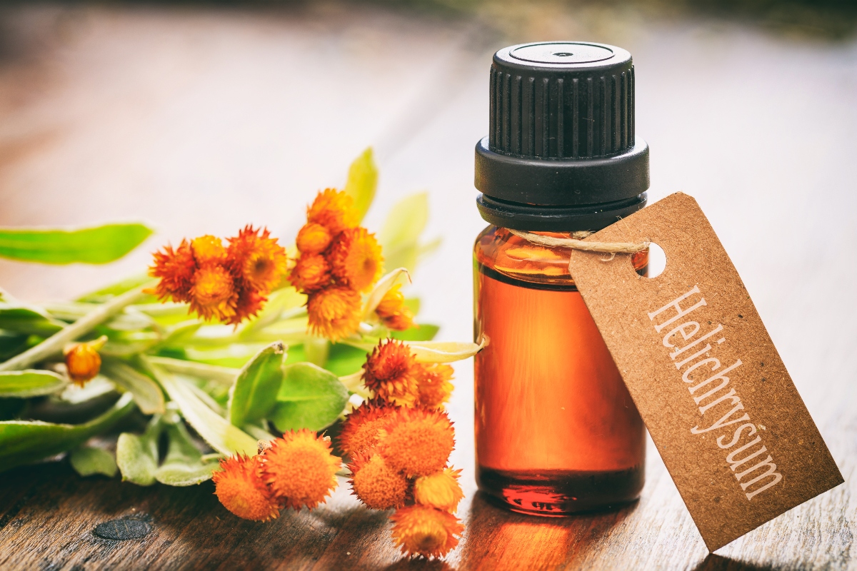 Elicriso: il fiore aromatico tra proprietà, benefici, ricette erboristiche, coltivazione ed usi in cucina 7 Come si usa l'olio di elicriso