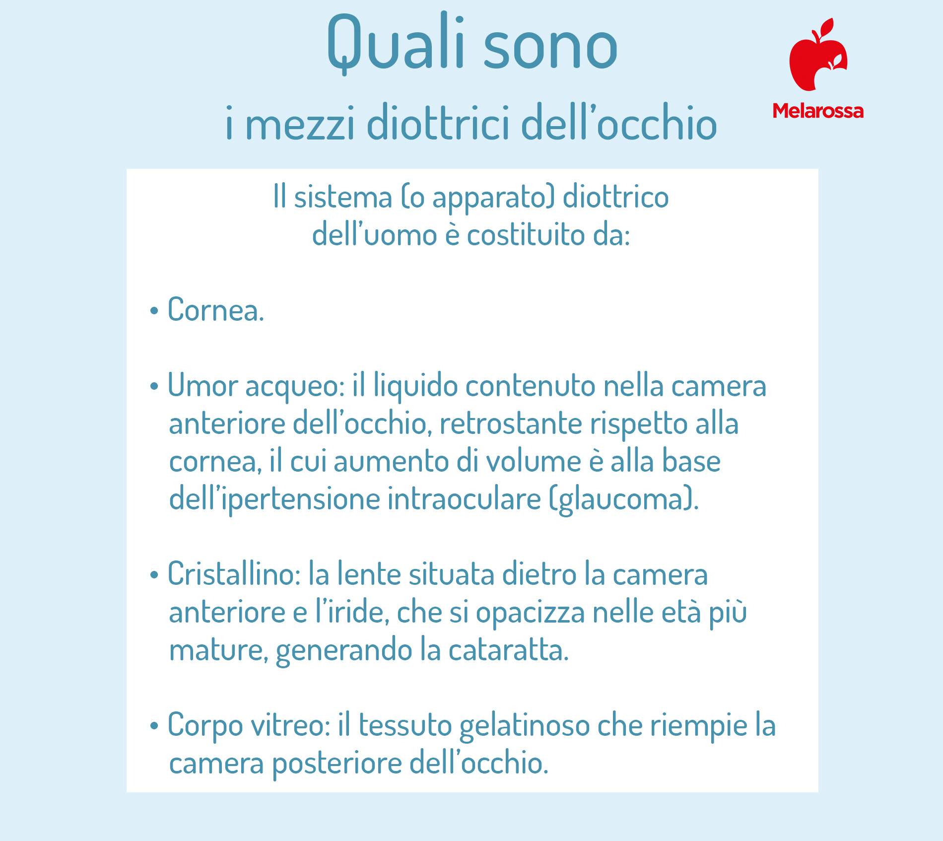 Cornea: cos’è, anatomia, funzioni, principali patologie, trattamenti e cure 4 cornea: funzioni