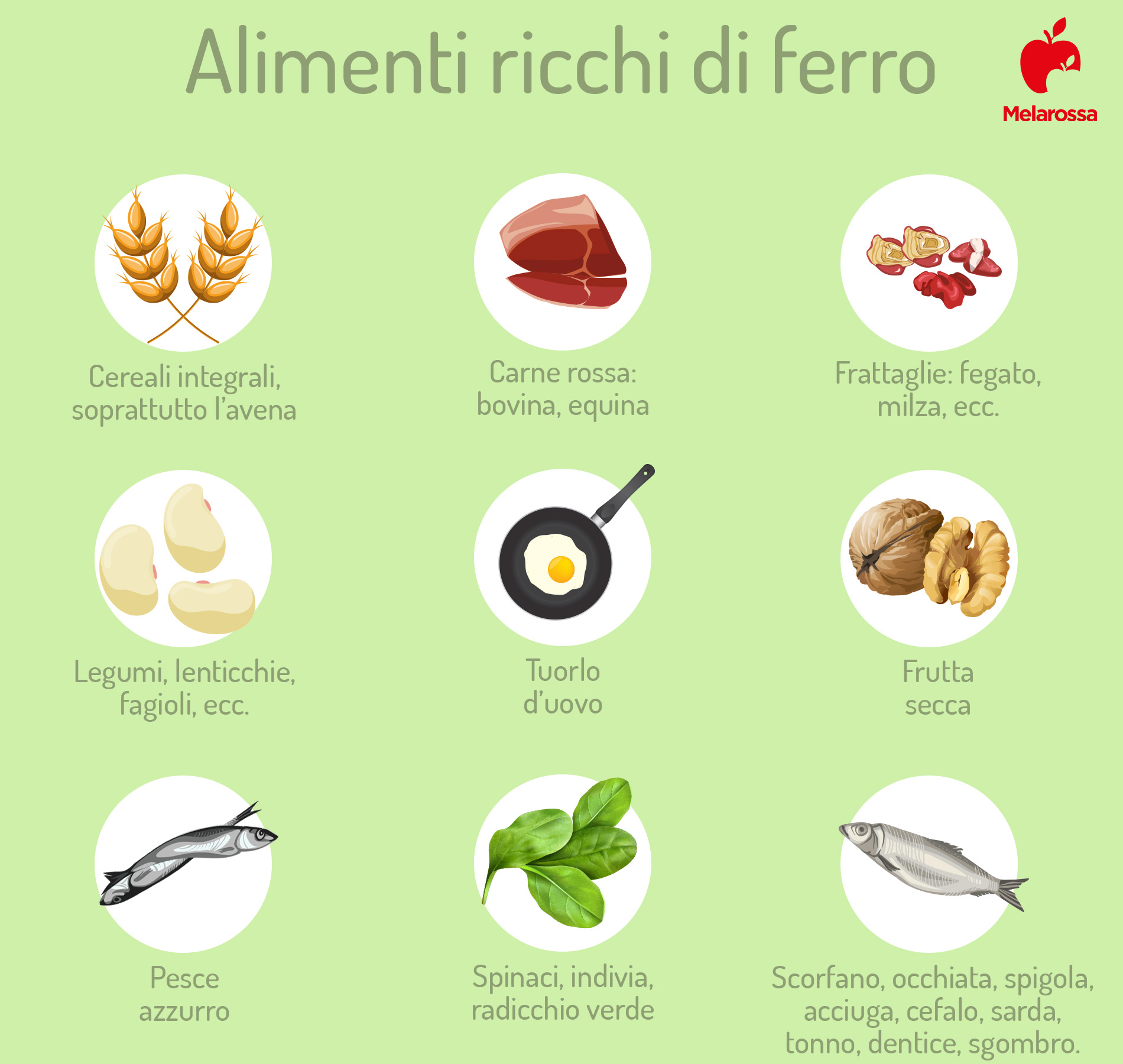 Dieta in allattamento: cosa mangiare, i cibi da prediligere e menù settimanale equilibrato 6 dieta in allattamento: alimenti ricchi di ferro