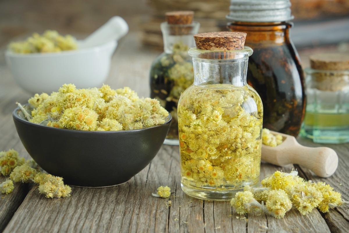 Elicriso: il fiore aromatico tra proprietà, benefici, ricette erboristiche, coltivazione ed usi in cucina 4 elicrolisi: benefici e proprietà
